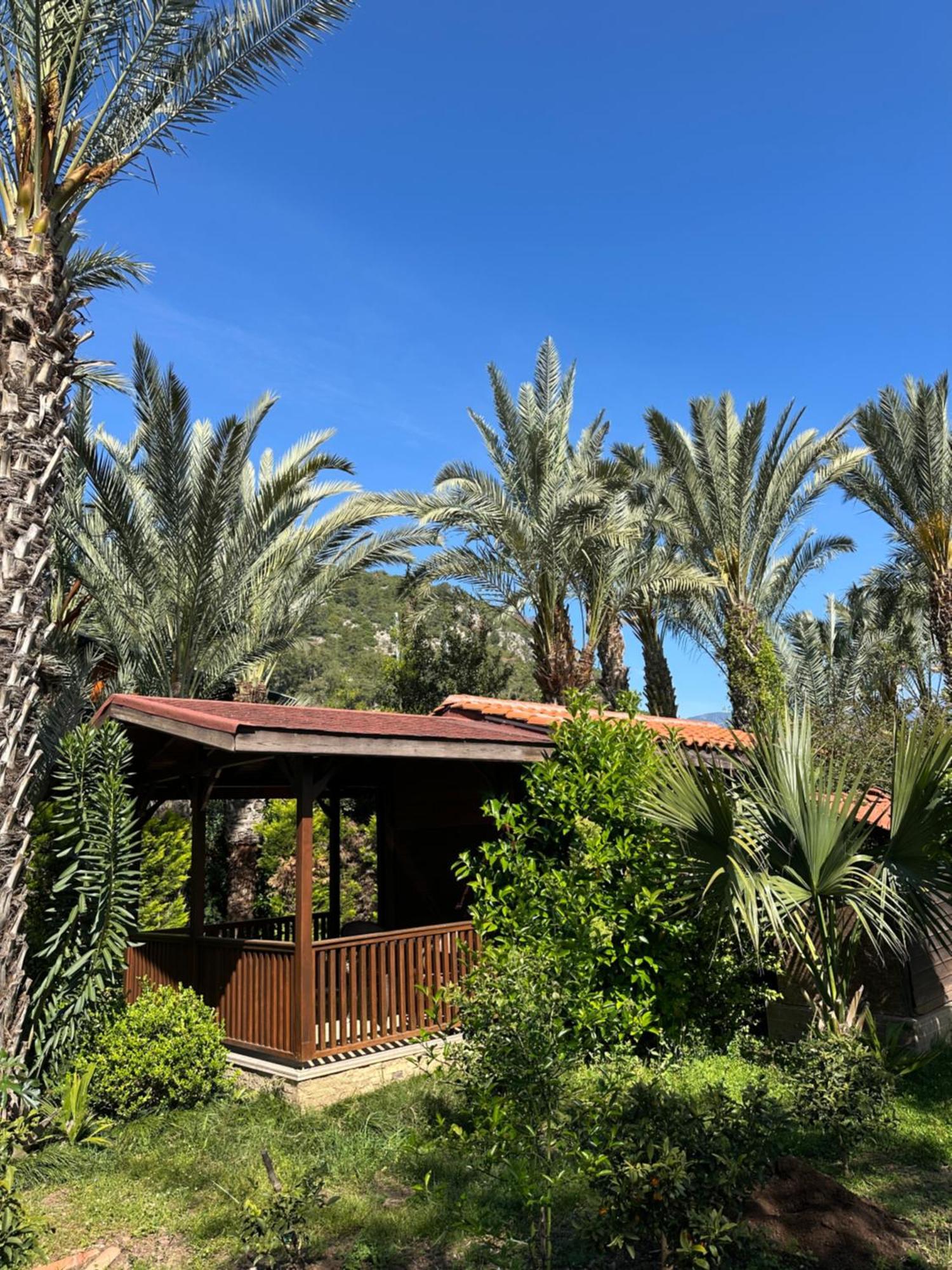 Azur Hotel Cirali Exterior photo